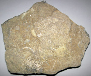 cobra stone limestone